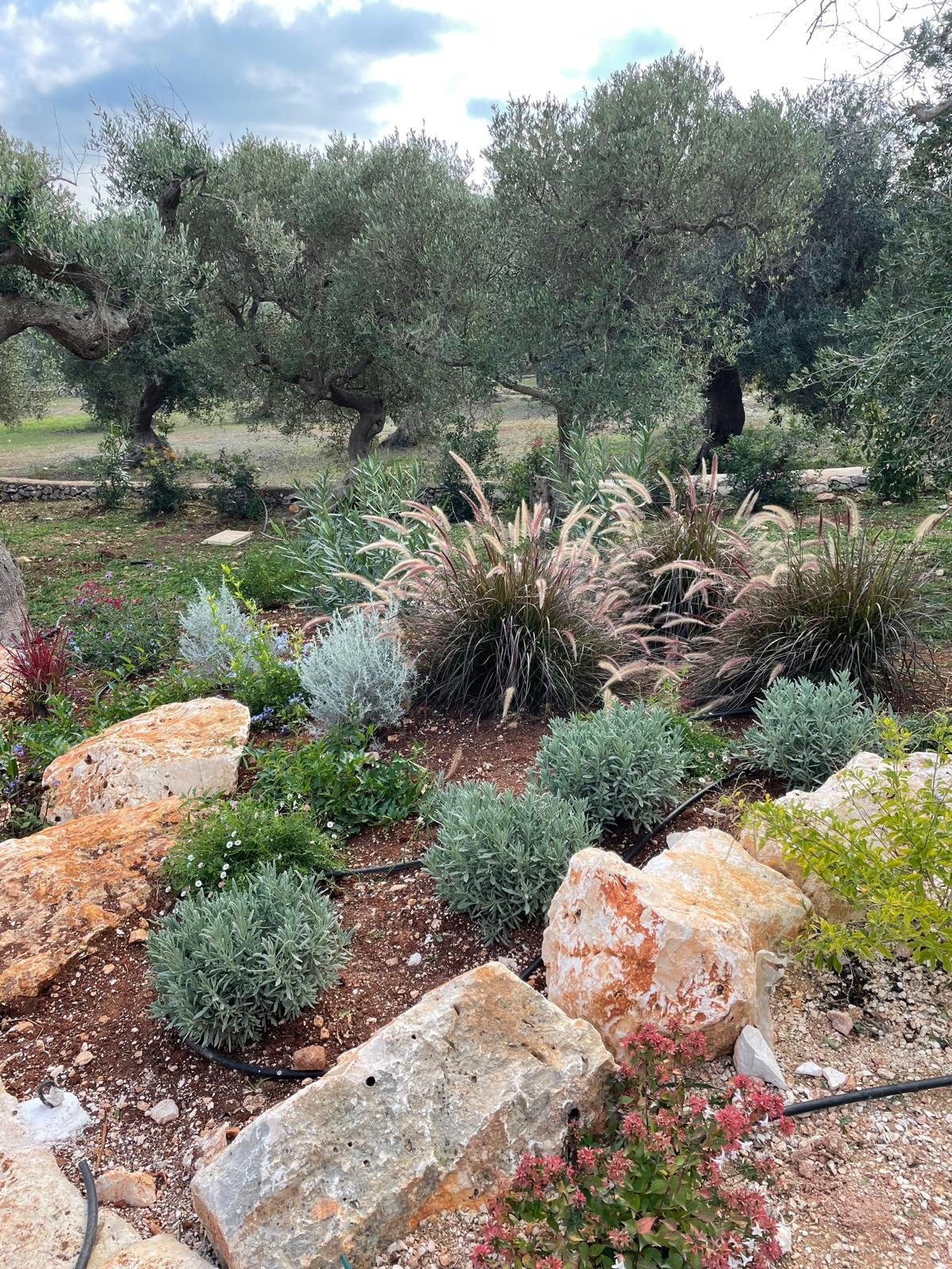 Dimora Terrabona, foto 5